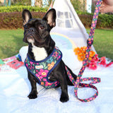 Cute Printed Puppy Cat Harness Vest Leash