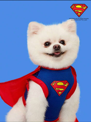 Super Dog 1pc Sleeveless Cloak Costume