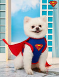 Super Dog 1pc Sleeveless Cloak Costume