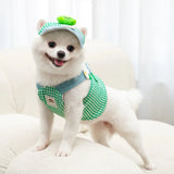 3-Piece Adjustable Pet Harness Set