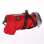 Winter Super Warm Dog Jacket with Harness