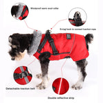 Winter Super Warm Dog Jacket with Harness