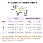 Fruit Print Dog Harness