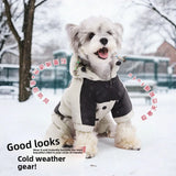 Fashionable Dog Snowsuit With Hood