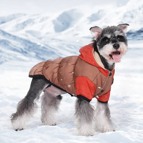 dog hooded cotton coat
