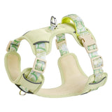 Fruit Print Dog Harness