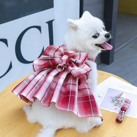 Summer Dog Dress Harness with Leash Set
