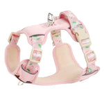 Fruit Print Dog Harness