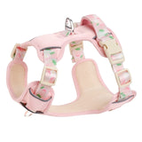 Fruit Print Dog Harness