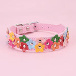 Colorful dog flower collar