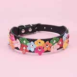 Colorful dog flower collar