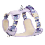 Fruit Print Dog Harness