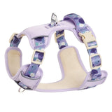 Fruit Print Dog Harness