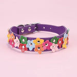 Colorful dog flower collar