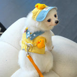 3-Piece Adjustable Pet Harness Set