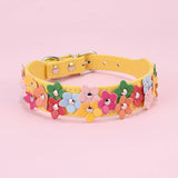 Colorful dog flower collar