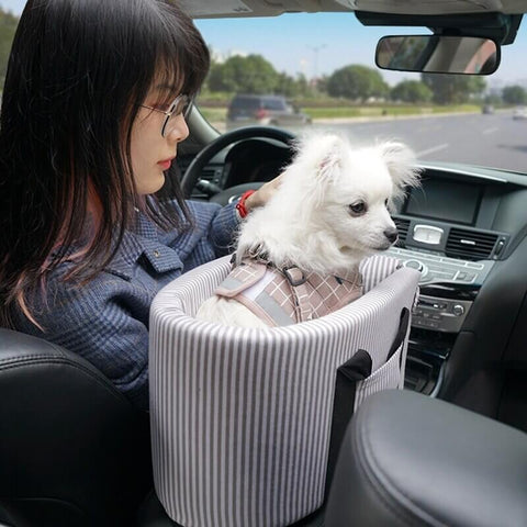 Portable Dog Console car seat