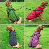 Waterproof Dog Jacket With Harness